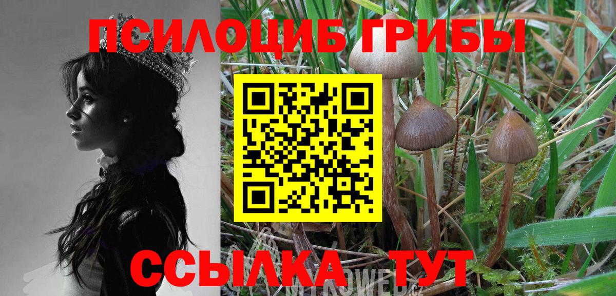 Псилоцибиновые грибы Psilocybine cubensis  Вход с VPN  Бугульма  Галлюциногенные грибы прущие грибы 